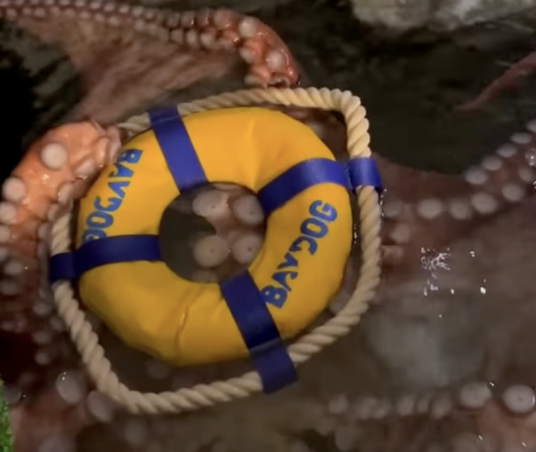 Octopus Q&A